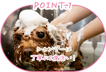 POINT.1 シャンプーは丁寧に2度洗い！