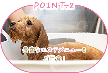 POINT.2 豊富なエステメニューをご用意！