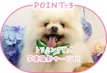 POINT.3 トリミング後の写真撮影サービス！